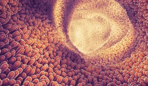 SIBO a celiakia — jak gluten i przerost bakteryjny się nakładają?